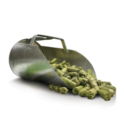 Prebiotics & Probiotics