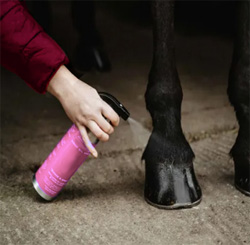 Hoof Applications
