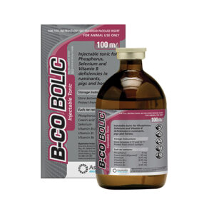 B-Co Bolic